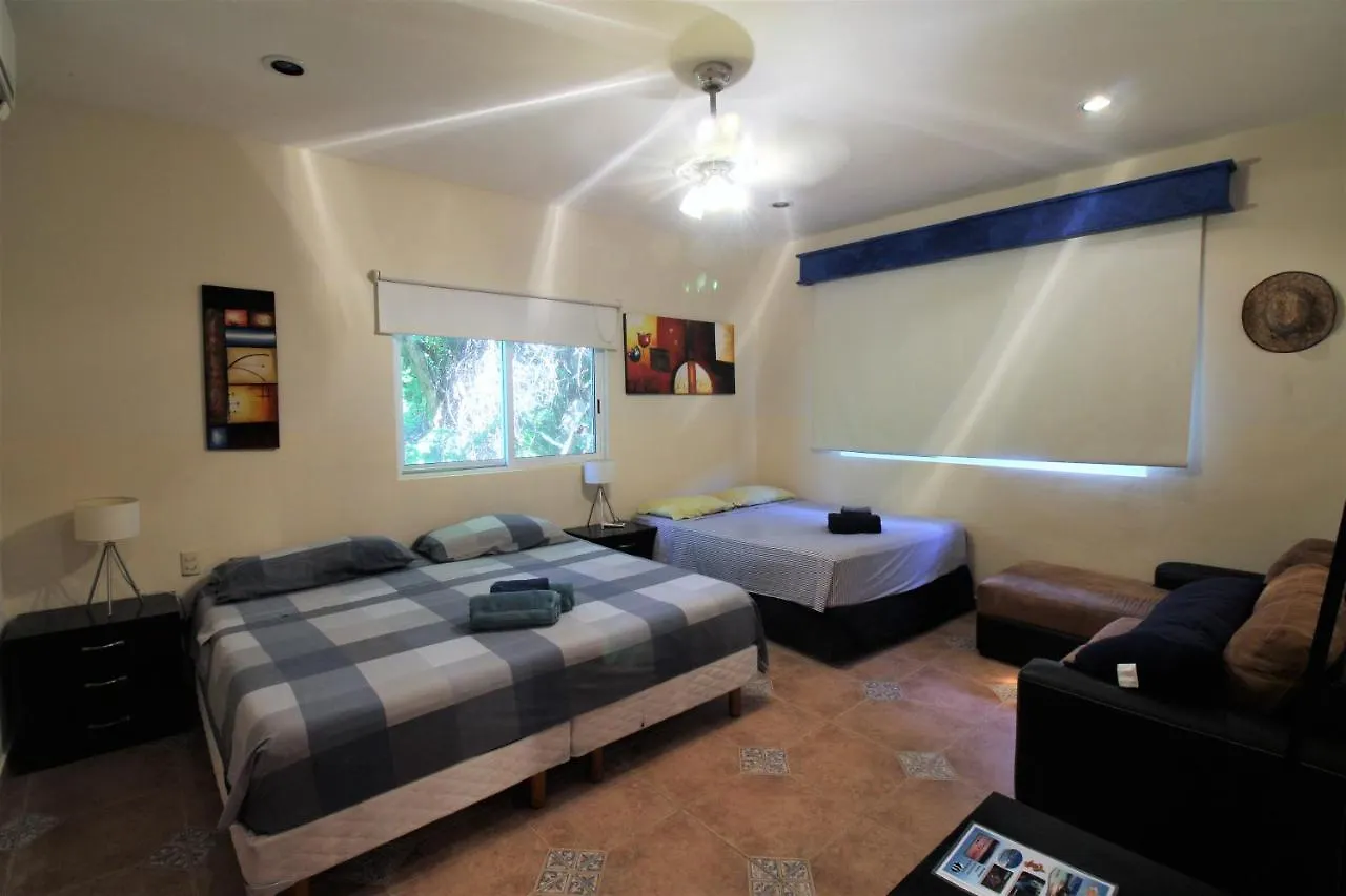 فندق مبيت وإفطار بلايا ديل كارمن Villa Tucano B&B المكسيك