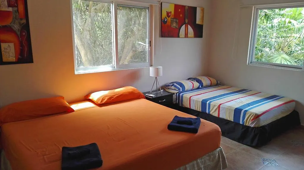 Villa Tucano B&B プレヤデルカーメン 0*,  メキシコ